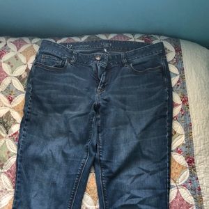 Loft Curvy Jeans